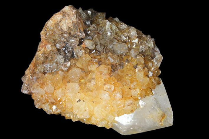 Sunshine Cactus Quartz Crystal - South Africa #122307